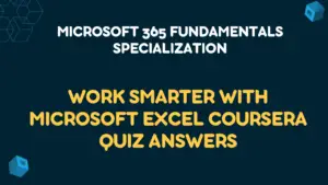 Work Smarter with Microsoft Excel Coursera Quiz Answers